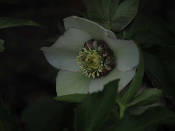 P2110363