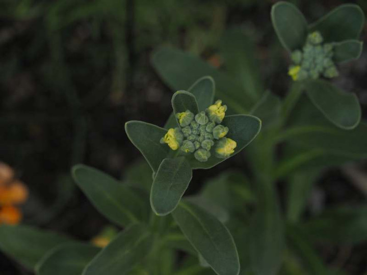 P2120375