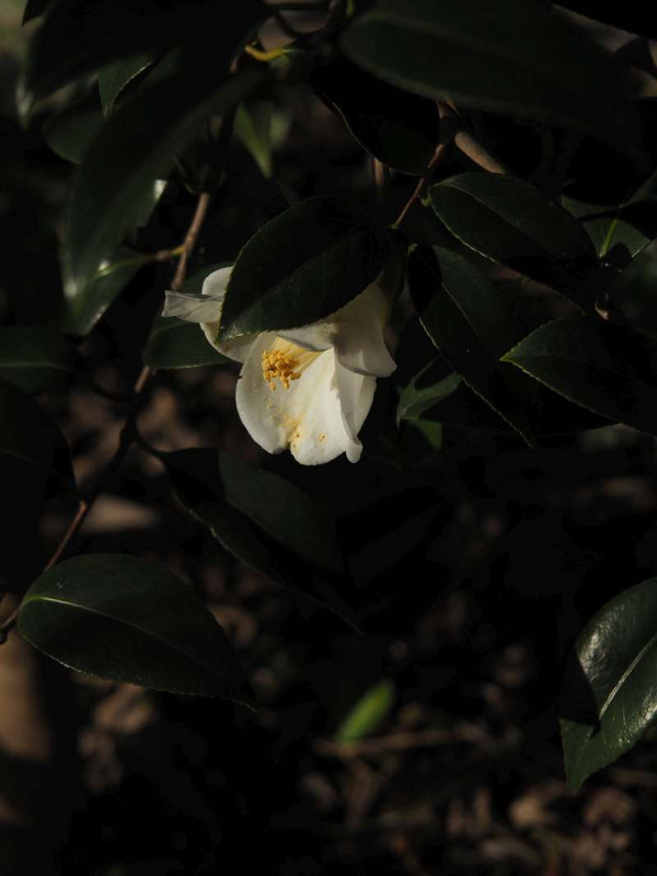 P2120380