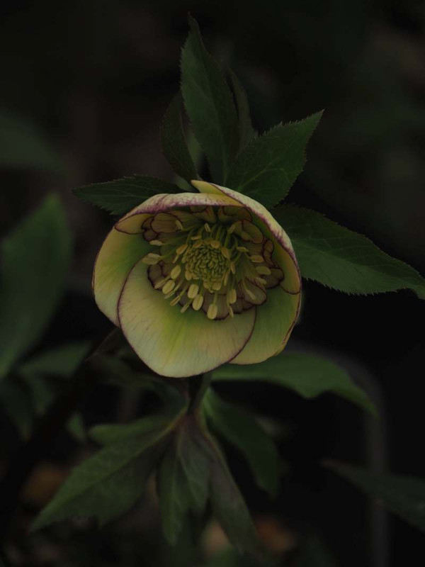 P2140441