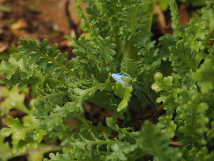 P2140444