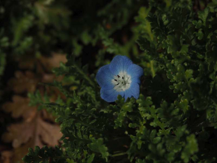 P2180583