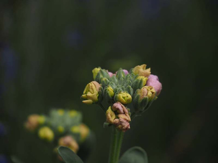 P2230737
