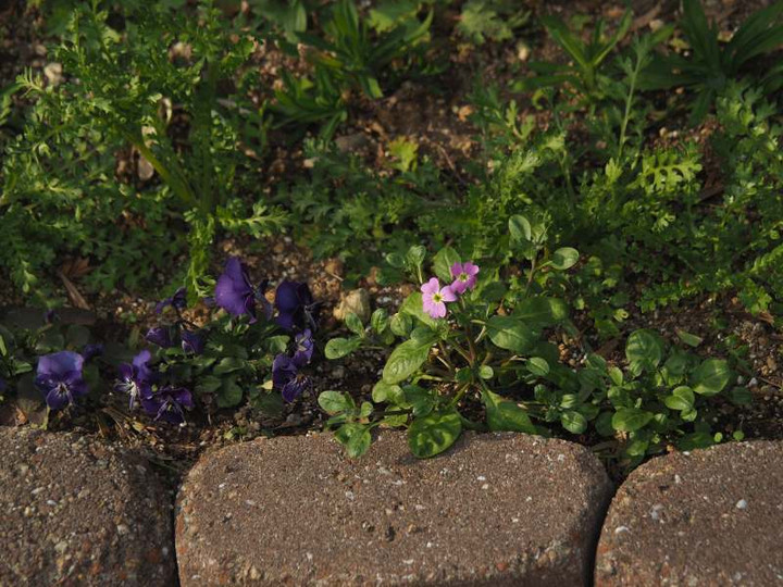 P2250970