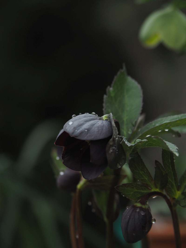 P2271019