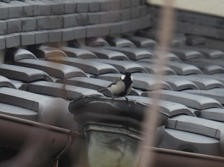 P2281025