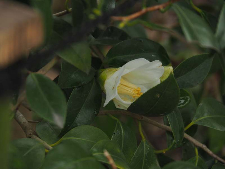 P2281032