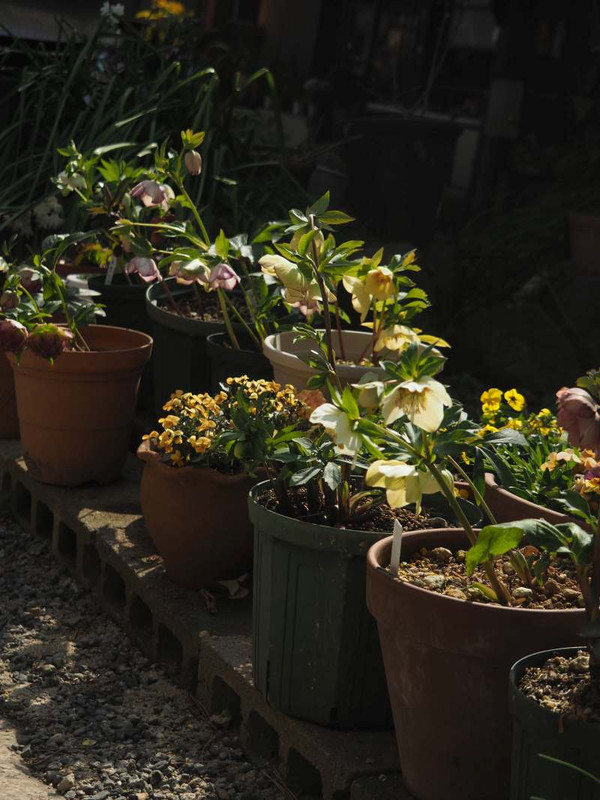 P3011051