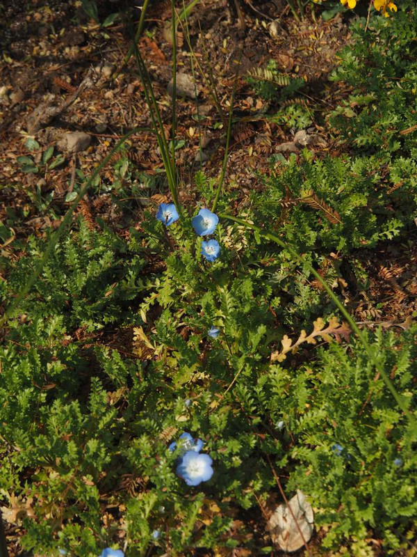 P3011057