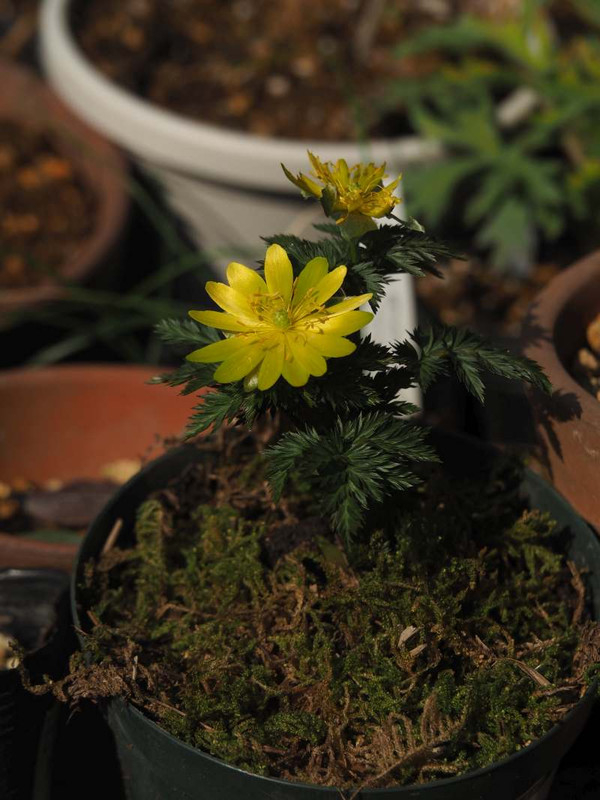 P3011062