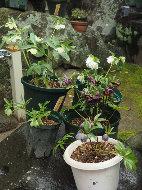 P3031258