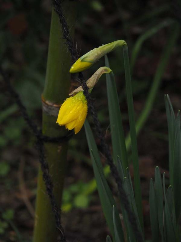 P3031263
