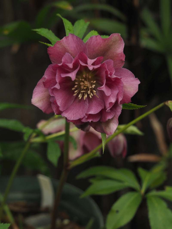 P3031275