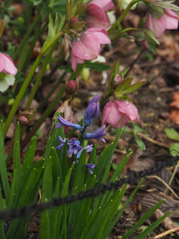 P3031279