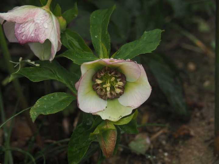 P3041283