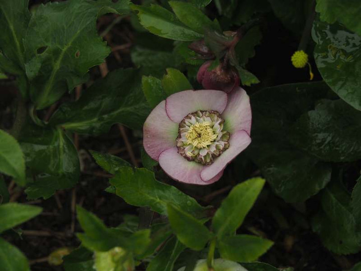 P3041284