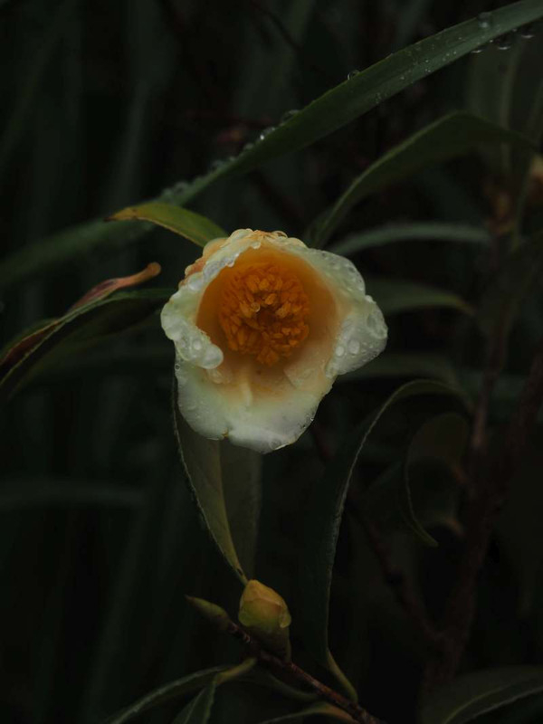 P3041287