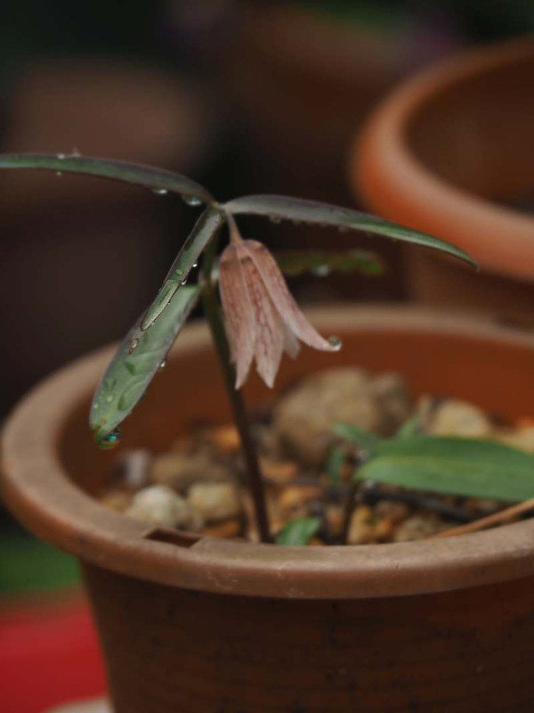 P3041290