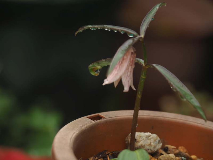 P3041291