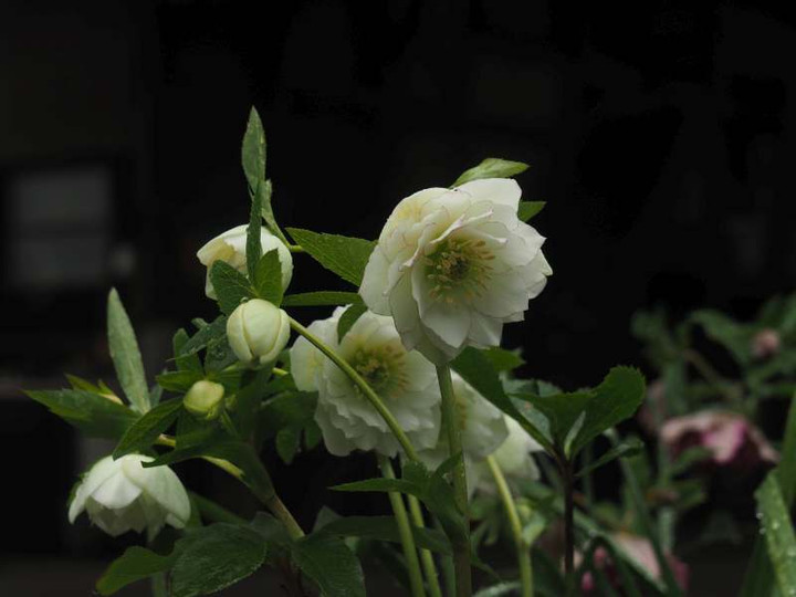 P3041297