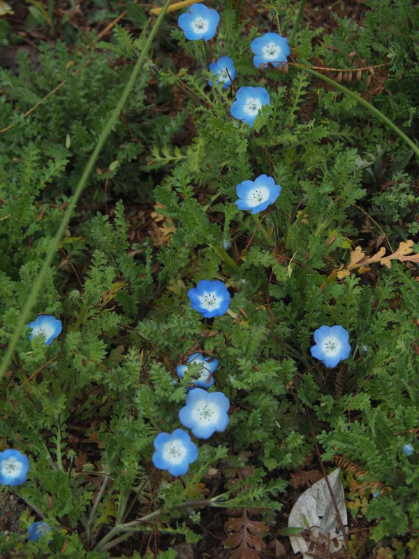 P3051329