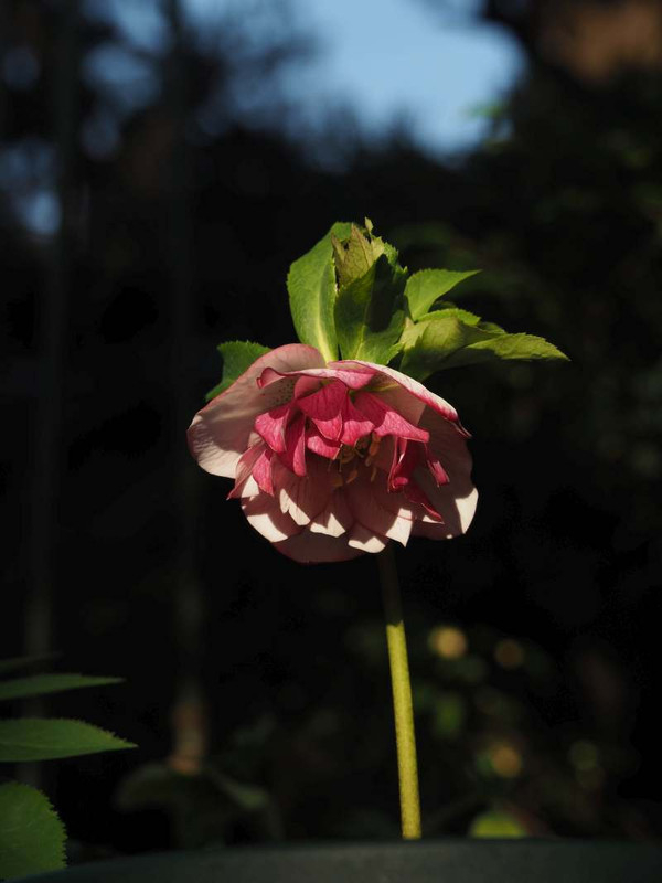 P3051339