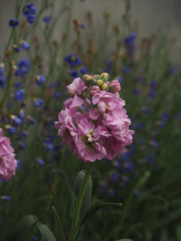 P3061348