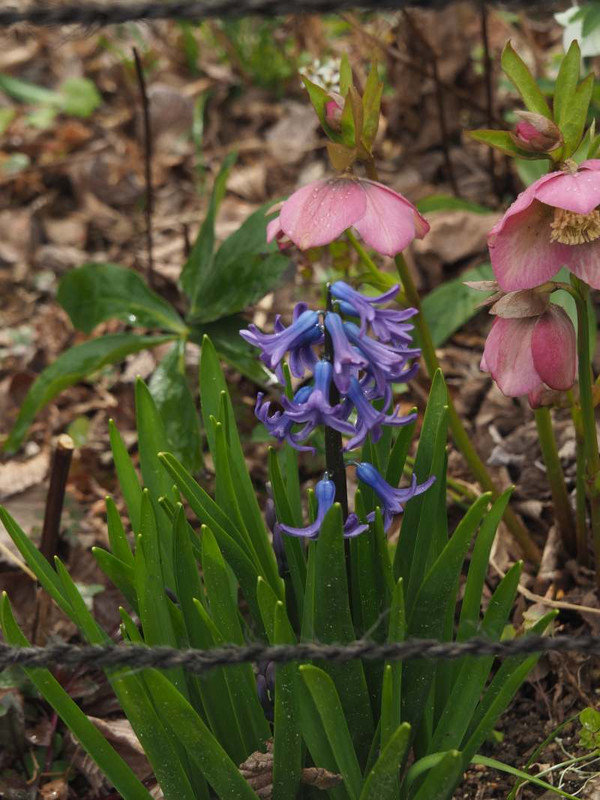 P3061352