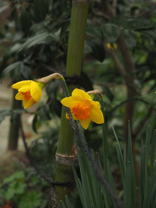 P3061353