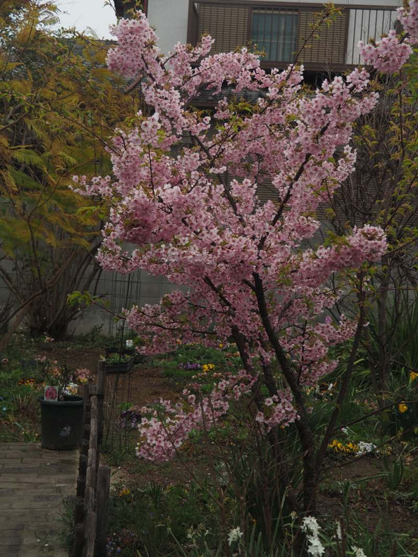 P3101609