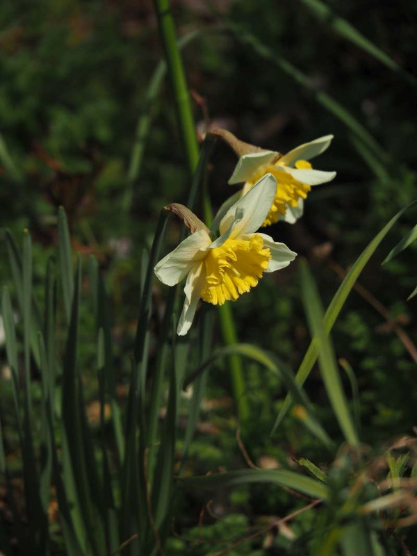 P3121687