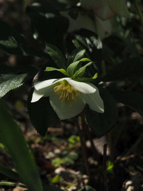P3131705