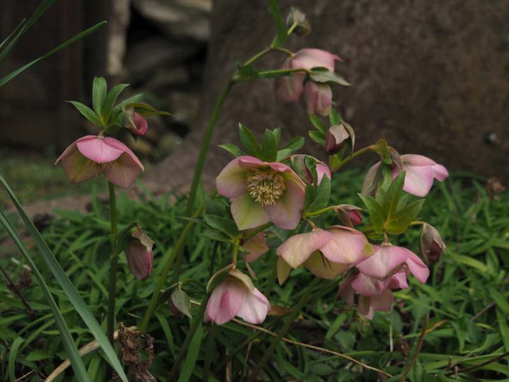 P3141741