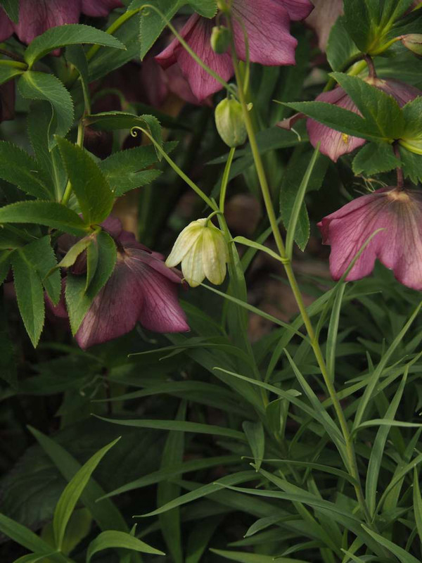 P3141743