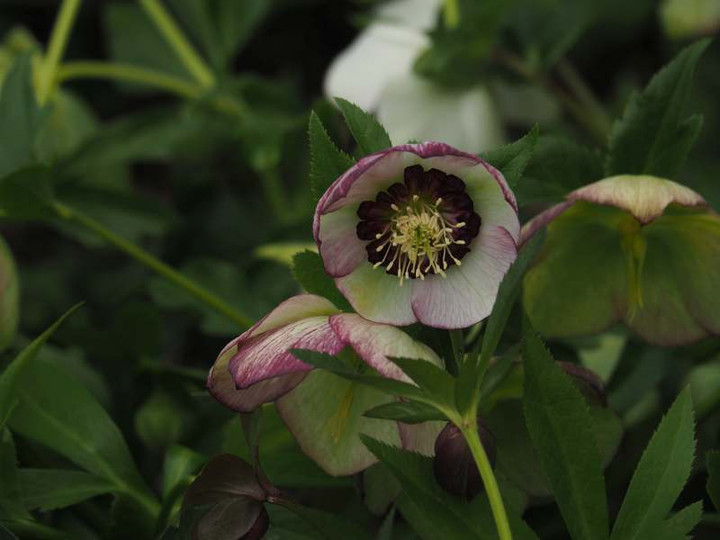P3141747