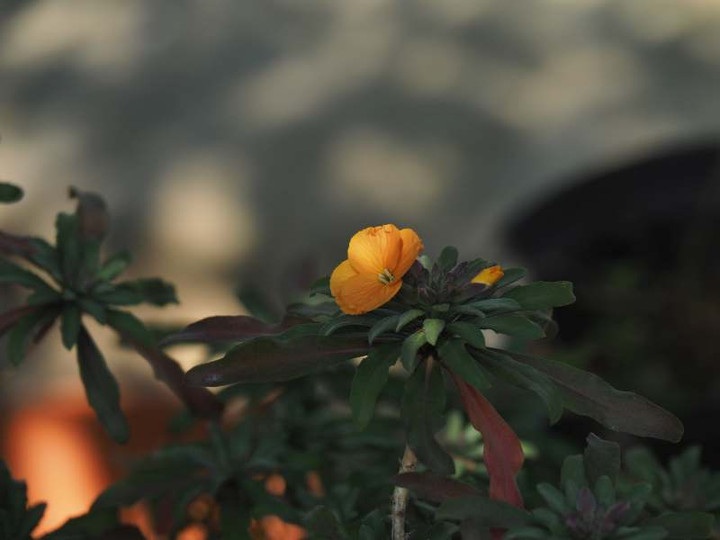 P3151767