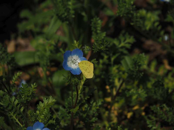 P3151783