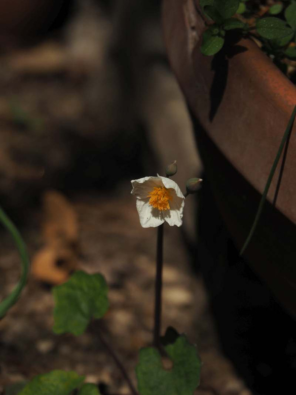 P3161795