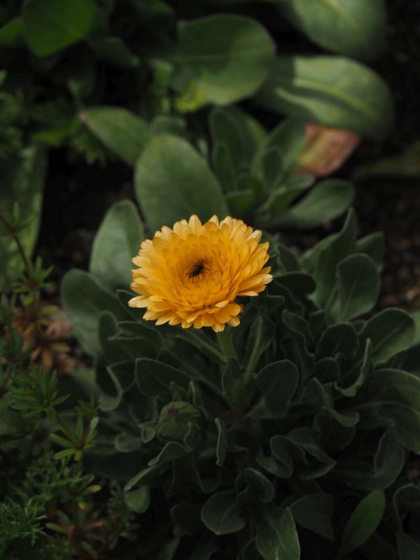 P3182223
