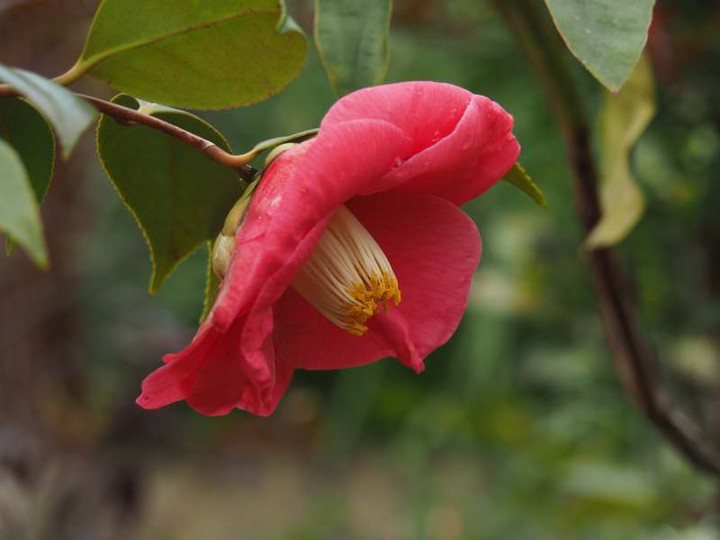 P3192237