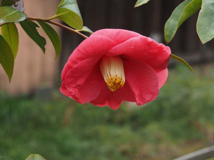 P3192238