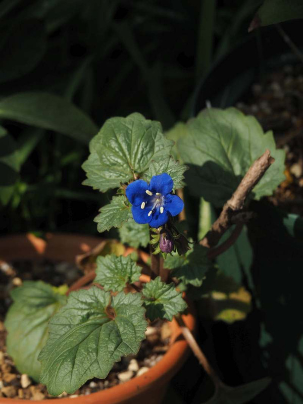 P3202249