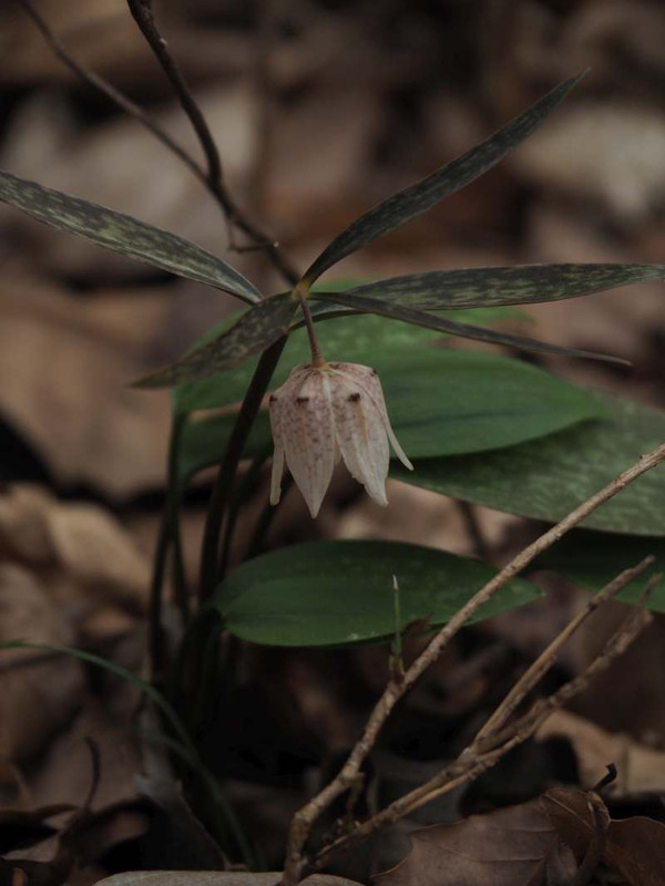 P3202282