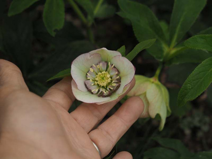 P3222377