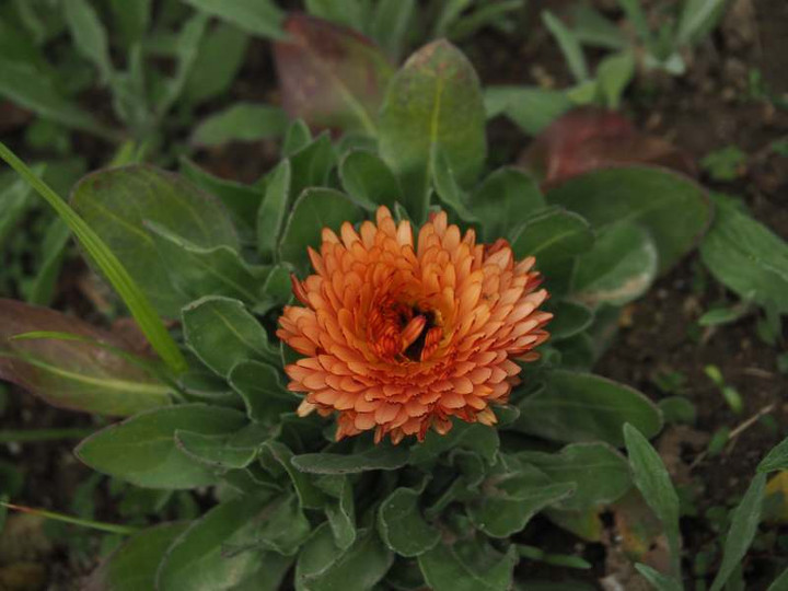 P3232391