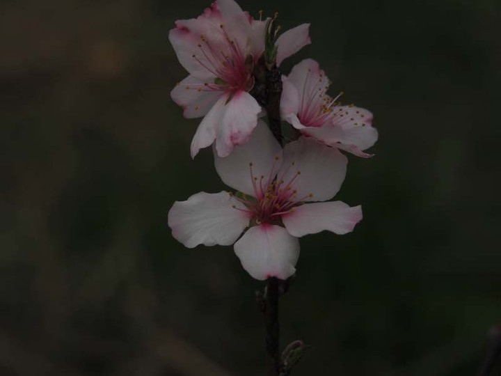 P3232395