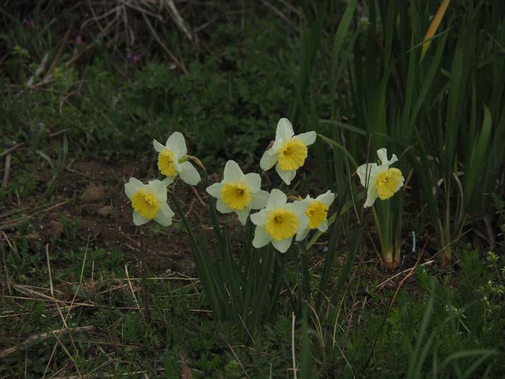 P3232396