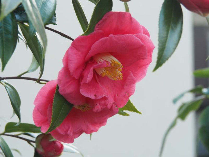 P3242717