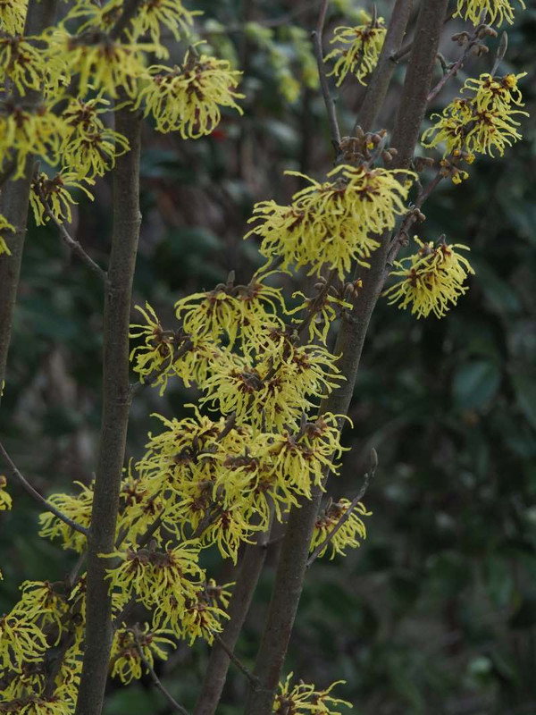 P3242719
