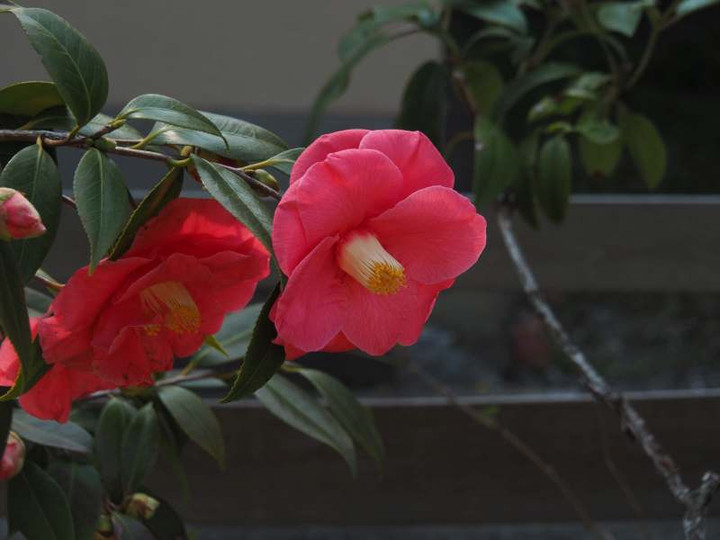 P3262857
